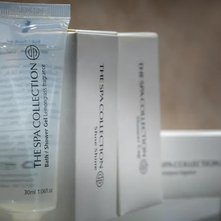 酒店 哈尔斯曼酒店 法尔肯堡