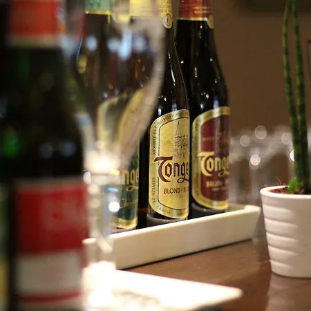 哈尔斯曼酒店 法尔肯堡