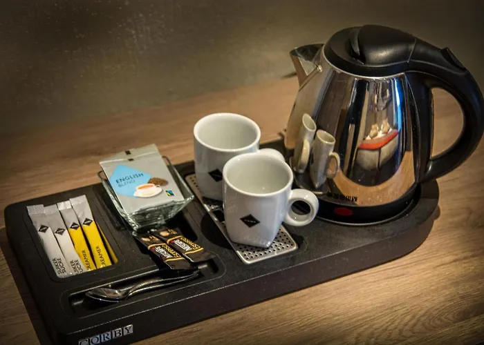 酒店 哈尔斯曼酒店 3*