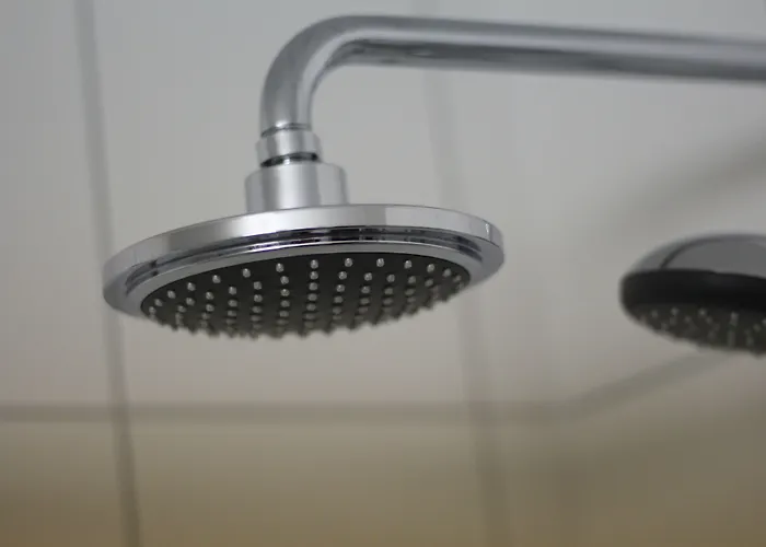 酒店 哈尔斯曼酒店 3*